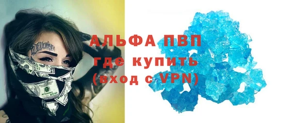 индика Волосово