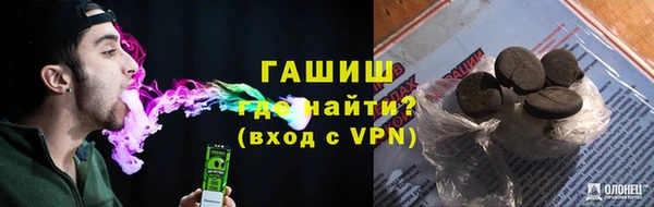 индика Волосово