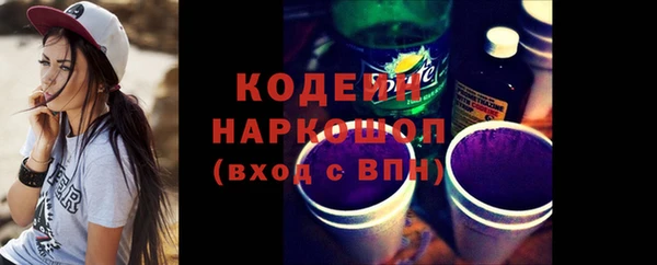 индика Волосово