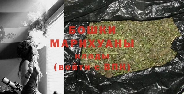 индика Волосово