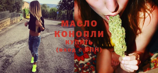 индика Волосово