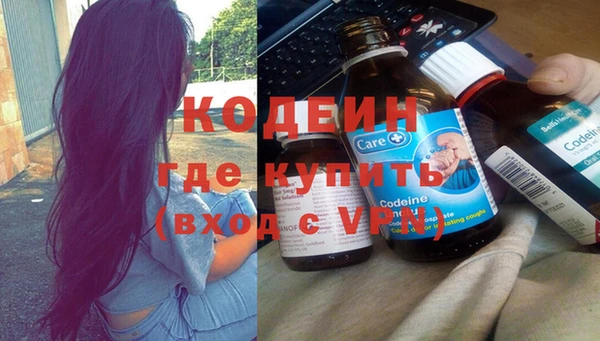 индика Волосово