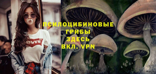 а пвп мука Володарск