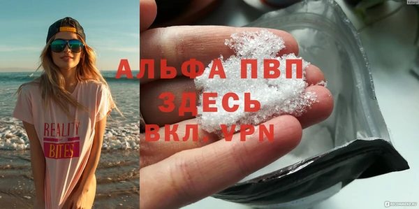 индика Волосово