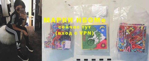 индика Волосово