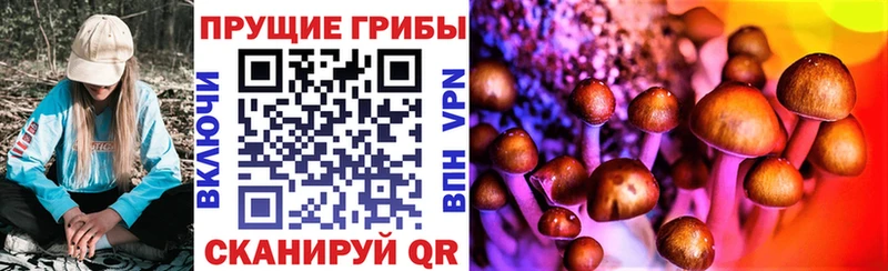 Псилоцибиновые грибы мухоморы  Купить где  Волжск 