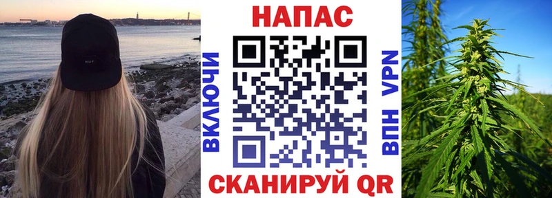 Бошки Шишки White Widow  Купить закладки  Волжск 